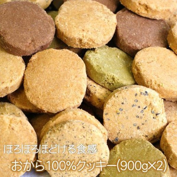 画像1: 【送料無料】おから100％クッキー2袋セット(900g×2)  (1)